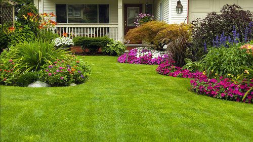 Landscape Maintenance Services