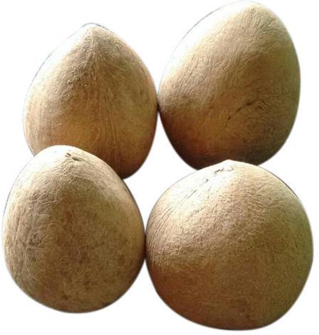 Coconut Copra, Feature : Free From Impurities, Freshness, Good Taste