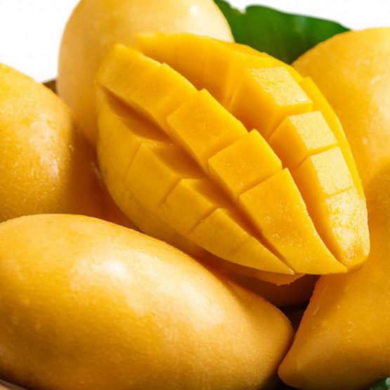 Organic fresh mango, Variety : Alphonso, Kesar, Raw