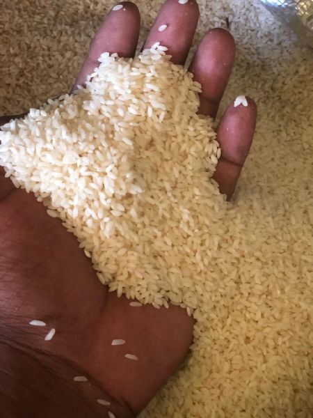 KAIMA RICE, for Cooking, Packaging Type : 10kg