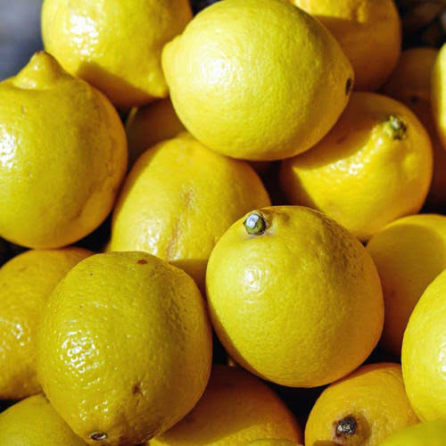 Common Fresh Natural Lemon, for Drinks, Pickles, Taste : Sour