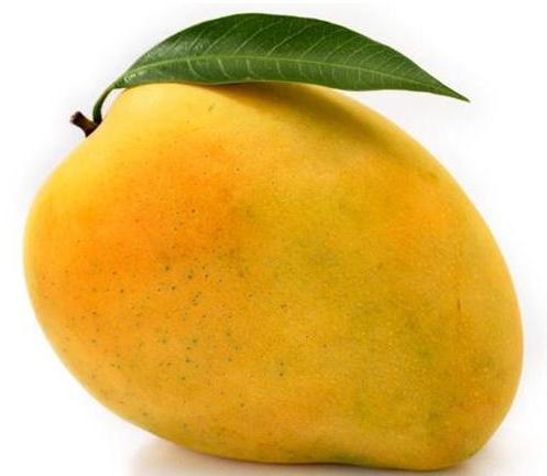 Fresh Yellow Mango