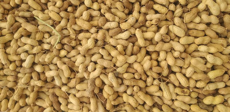 Organic groundnut, Packaging Size : 50Kg