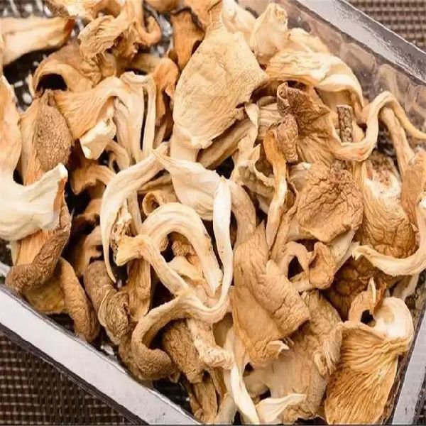 Common Dried Organic Oyster Mushroom, Style : Dry