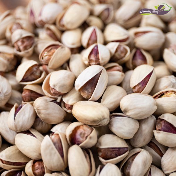 Supplier of Dried Fruits from Dubai, United Arab Emirates by Marongo