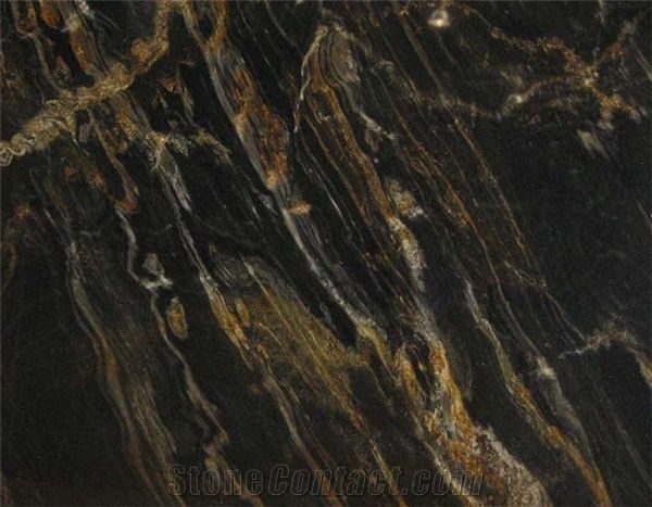 Polished Lotus Black Granite