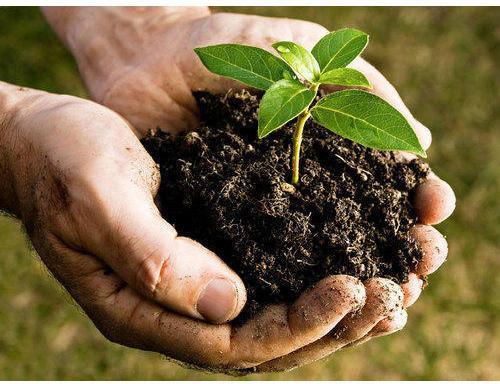 Compost Based Organic Fertilizer, for Agriculture, Standard : Bio Grade