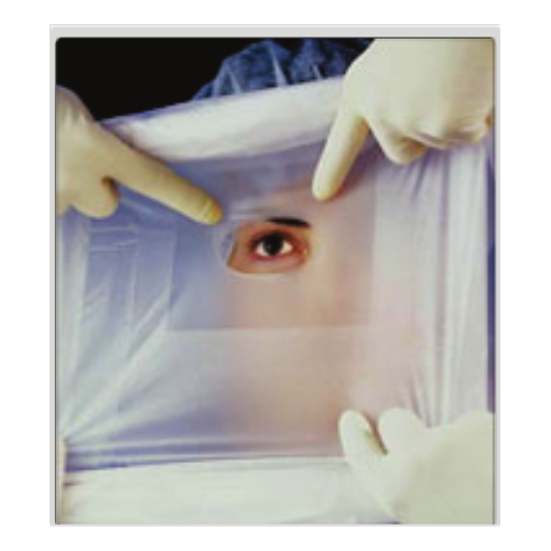 Surgical Eye Drape, Pattern Plain at best price in Jodhpur Rajasthan