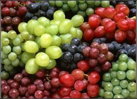 Grapes Oil Seed