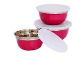 Stainless Steel Bowl With Plastic Lid Set