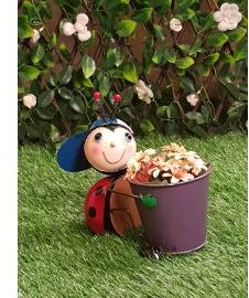 Wonderland Garden Pot Small Ladybug with Pot