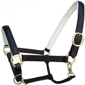 Padded Leather halter