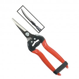 Curved Fruit Pruner Red And Black by Wonderland 10.6 X 3.5 X 0.5 Inch Garden Tool