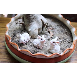 Poly resin White rabbit Bonsai Planter Decor