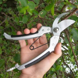 Professional Pruner Silver : Garden Tools