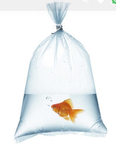 Plain Plastic Fish Packaging Bags, Feature : Durable, Impeccable Finish, Light Weight