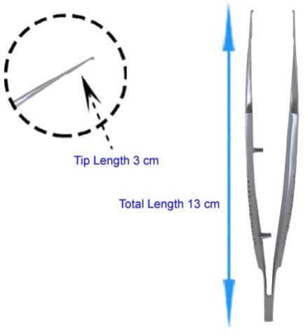Hair Transplant Stainless Steel Forceps Tooth