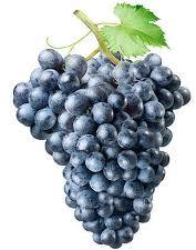 Fresh Organic Black Grapes