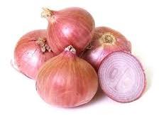 Fresh Organic Onion