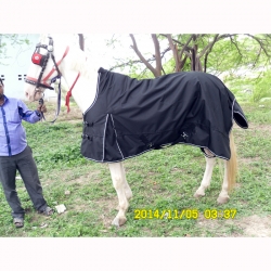 High Neck Turnout: Horse Blankets
