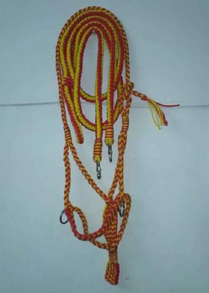 Briaded PP Halter with Pair of reins