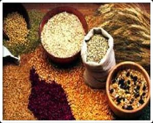 Agricultural Storage Covers