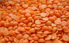 Red Lentil (Masur Dal)