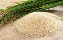 Swarna Rice- Parboiled / White