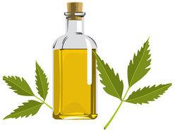 Neem Essential Oil, Extraction Type : Cold Process