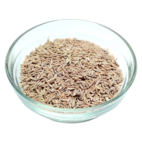 Cumin Seed Buy Cumin Seed in Ahmedabad Gujarat India from Kore