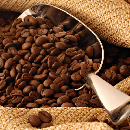 Coffee Seed