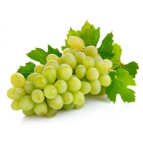 Organic fresh green grapes, Shelf Life : 0-3days