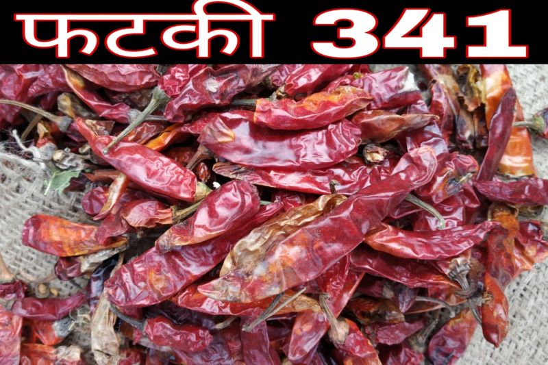 341 Fatki Dried Red Chilli
