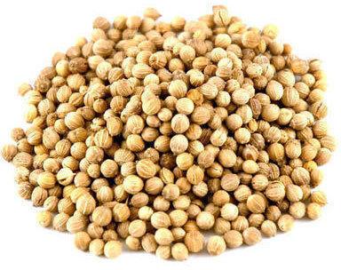 Common 609 Coriander Seeds, for Cooking, Food, Packaging Type : Jute Bags, Plastic Packets, PP Bags