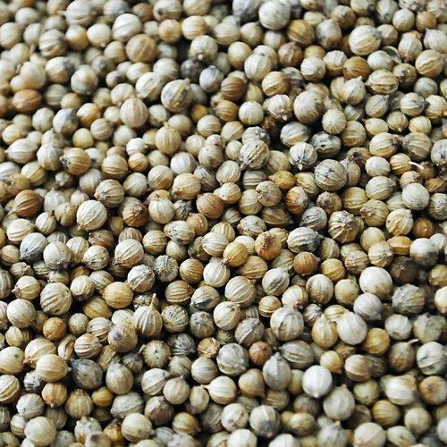 Common 631 Coriander Seeds, for Cooking, Packaging Type : Jute Bags, Plastic Packets