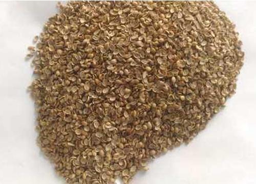 Badami Split Coriander Seeds