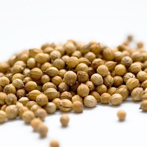 Common Organic Coriander Seeds, for Cooking, Food, Packaging Type : Jute Bags, Plastic Packets, PP Bags