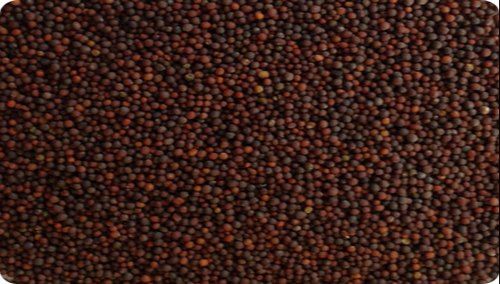 Red Mustard Seeds, Form : Solid