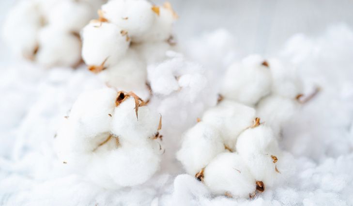 Indian Raw Cotton, for Yarn, Feature : Fluffy, High Quality