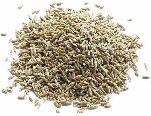 Natural Cumin Seeds, Style : Dried