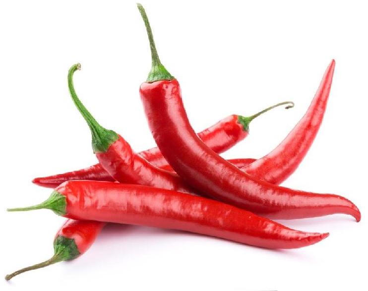 Organic Natural Red Chilli, for Food, Making Pickles, Feature : Hygienic Packing, Optimum Freshness