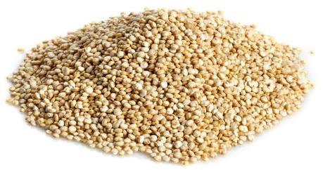 Indian Quinoa Seeds, Purity : 100%