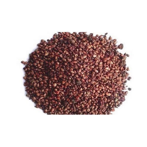 Organic Basil Seeds