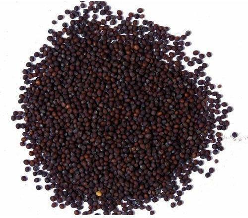 Small Brown Mustard Seeds