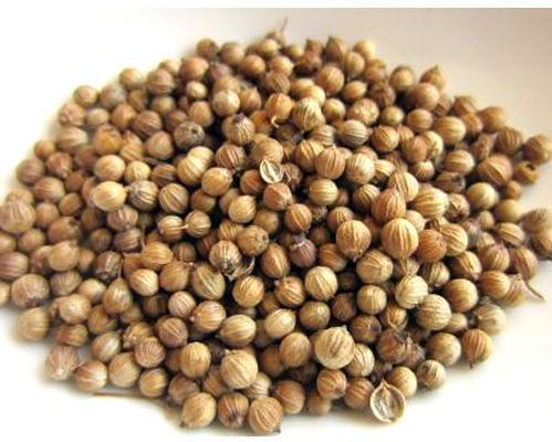 Common Whole Coriander Seeds, for Agriculture, Cooking