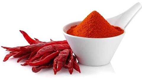 Hot Red Chilli Powder, for Cooking, Packaging Type : Plastic Container