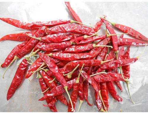 Organic Indian Dried Red Chilli, Packaging Type : Jute Bag, Plastic Packet