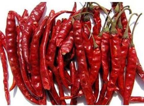 Teja Dried Red Chilli, Shelf Life : 6months