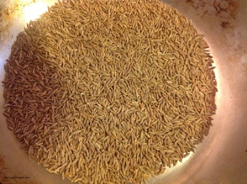 Cumin Seed European