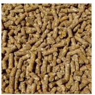 Cattle Feed Briquette